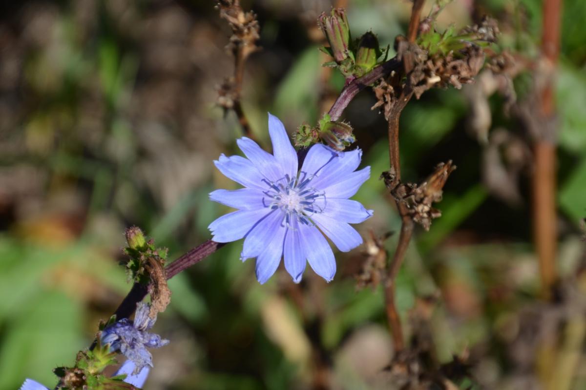 Rielingerhof 03.09.2019